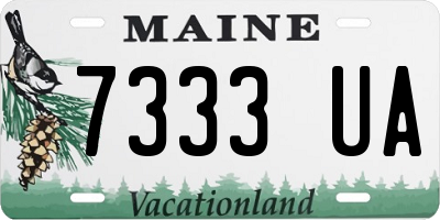 ME license plate 7333UA