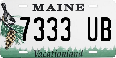 ME license plate 7333UB