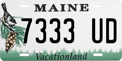 ME license plate 7333UD