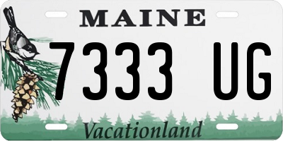 ME license plate 7333UG