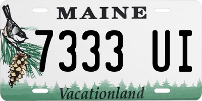 ME license plate 7333UI