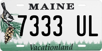 ME license plate 7333UL