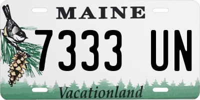 ME license plate 7333UN