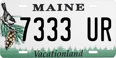 ME license plate 7333UR