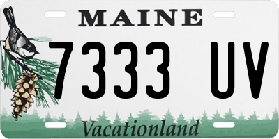 ME license plate 7333UV