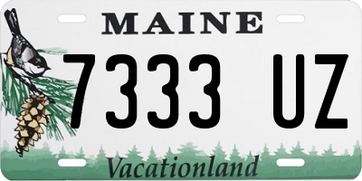 ME license plate 7333UZ