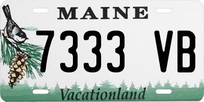 ME license plate 7333VB