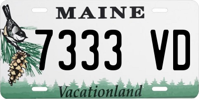 ME license plate 7333VD