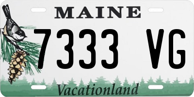 ME license plate 7333VG