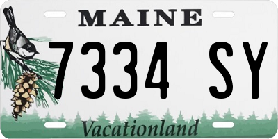 ME license plate 7334SY