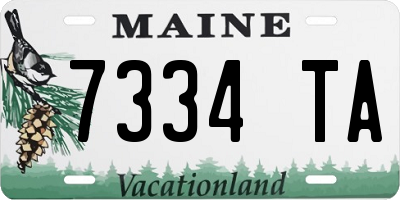 ME license plate 7334TA