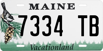 ME license plate 7334TB