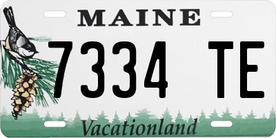 ME license plate 7334TE