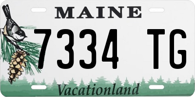 ME license plate 7334TG