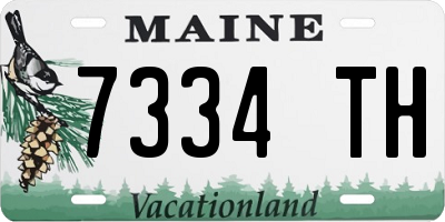 ME license plate 7334TH