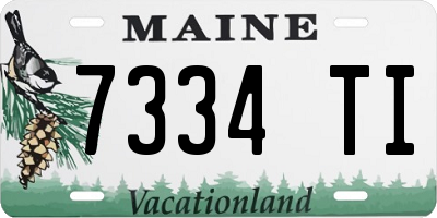 ME license plate 7334TI