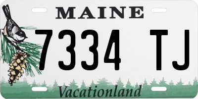 ME license plate 7334TJ