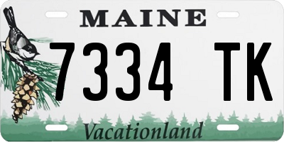 ME license plate 7334TK