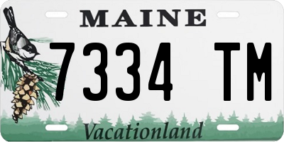 ME license plate 7334TM