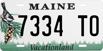 ME license plate 7334TO