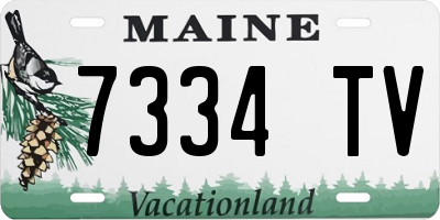 ME license plate 7334TV