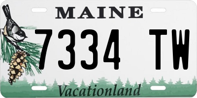 ME license plate 7334TW