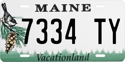 ME license plate 7334TY