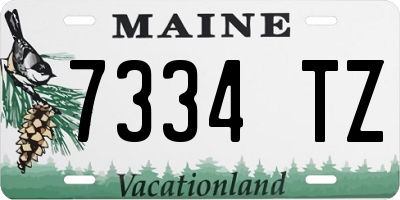 ME license plate 7334TZ