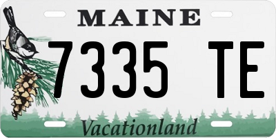 ME license plate 7335TE