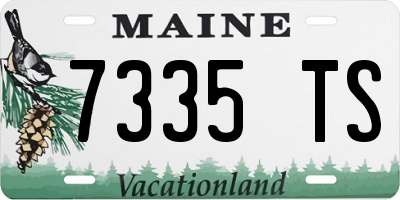 ME license plate 7335TS