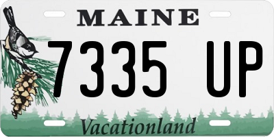 ME license plate 7335UP