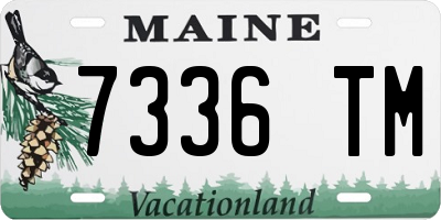 ME license plate 7336TM