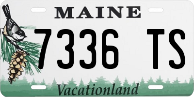 ME license plate 7336TS