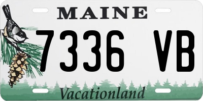 ME license plate 7336VB