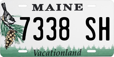 ME license plate 7338SH