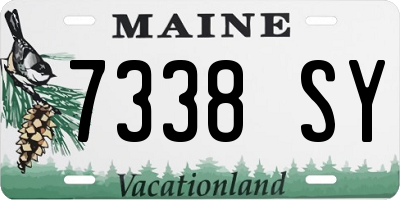 ME license plate 7338SY
