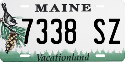 ME license plate 7338SZ