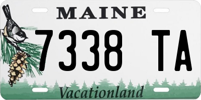 ME license plate 7338TA
