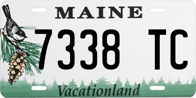 ME license plate 7338TC