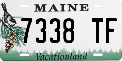 ME license plate 7338TF