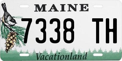 ME license plate 7338TH