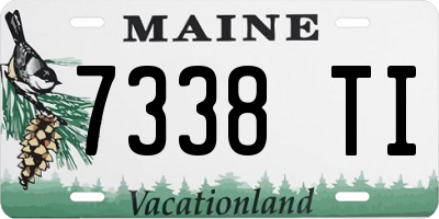 ME license plate 7338TI