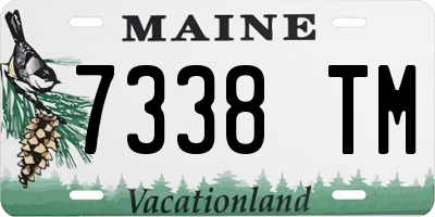 ME license plate 7338TM