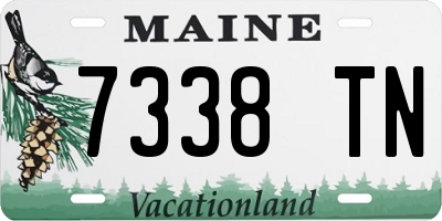 ME license plate 7338TN