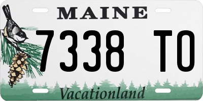ME license plate 7338TO