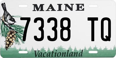 ME license plate 7338TQ
