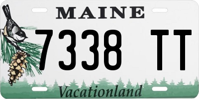ME license plate 7338TT