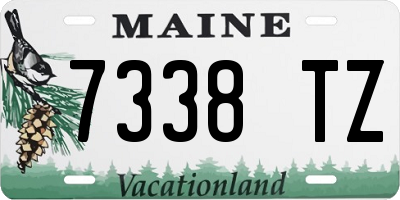 ME license plate 7338TZ