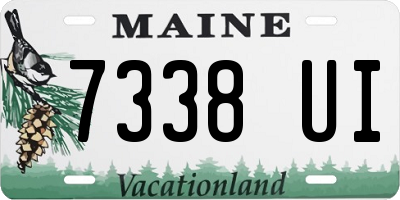 ME license plate 7338UI