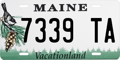 ME license plate 7339TA